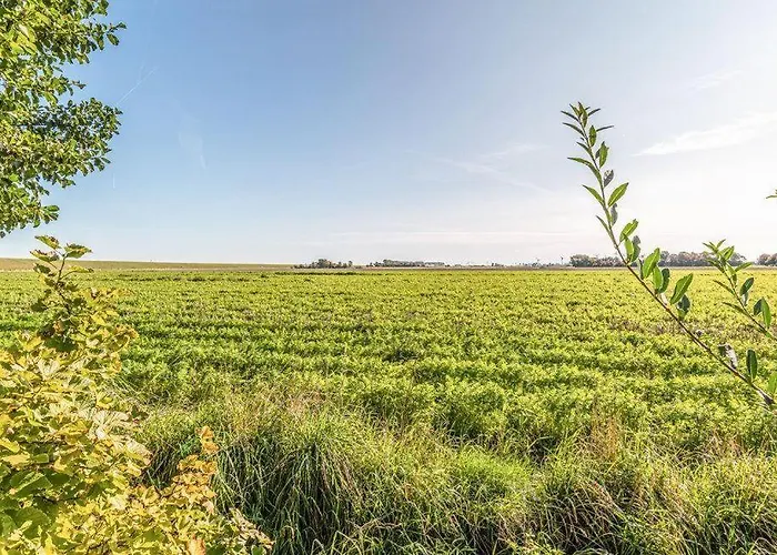 Strandglueck Friedrichskoog